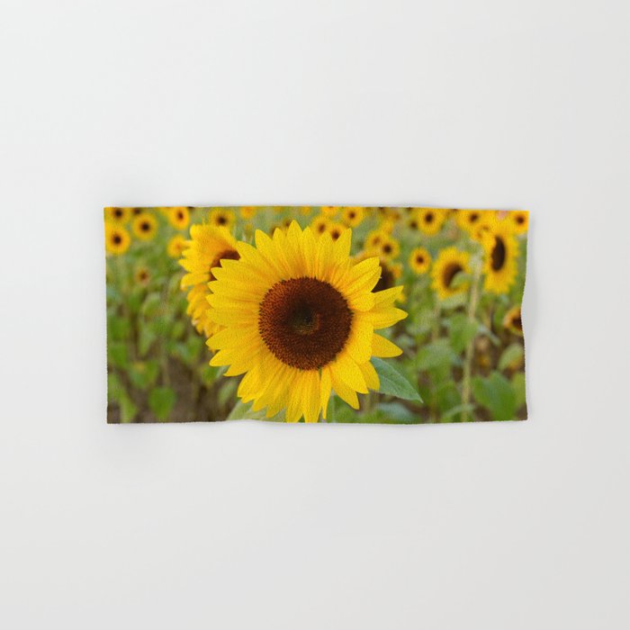 Sunflower Field Hand & Bath Towel