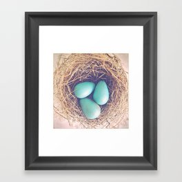 Blue Eggs Framed Art Print