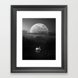 Lonely Swan in the Lake Black & White Framed Art Print