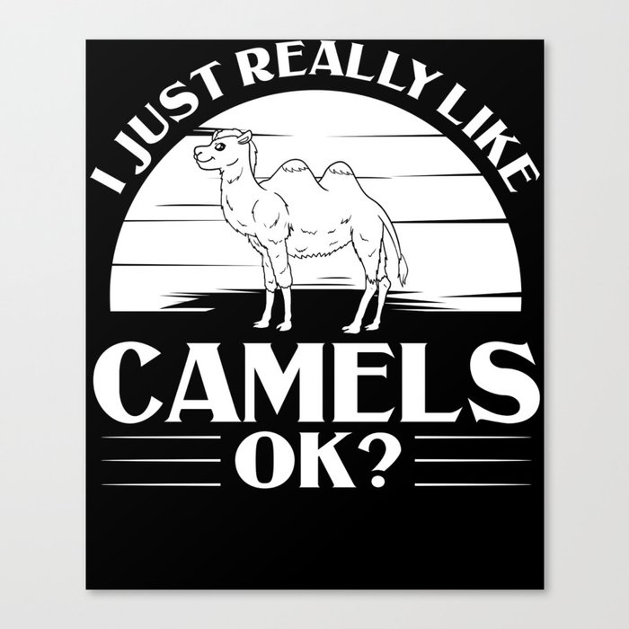 Bactrian Camel Riding Farmer Dromedary Rider Canvas Print