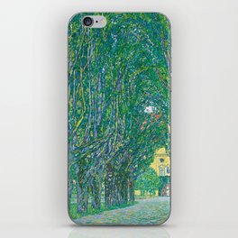 Avenue In The Park Of Schloss Kammer iPhone Skin