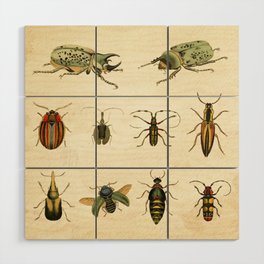 Beetles Wood Wall Art