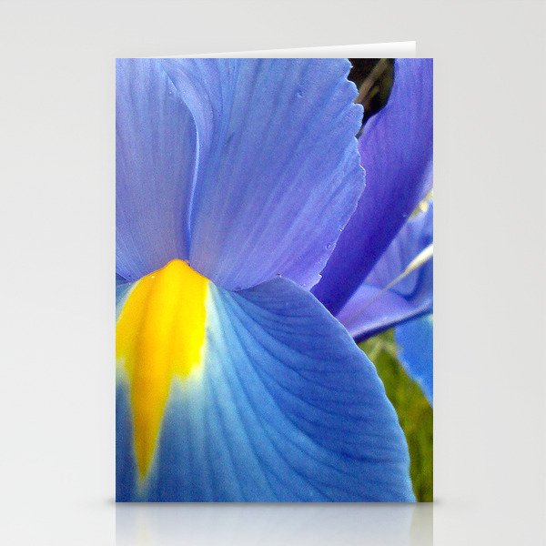 Blue Iris, 2012 Stationery Cards