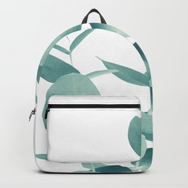 family dollar bookbag