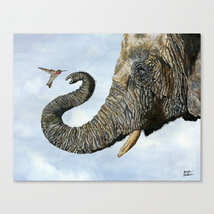 Elephant Cyril And Hummingbird Ayre Canvas Print
