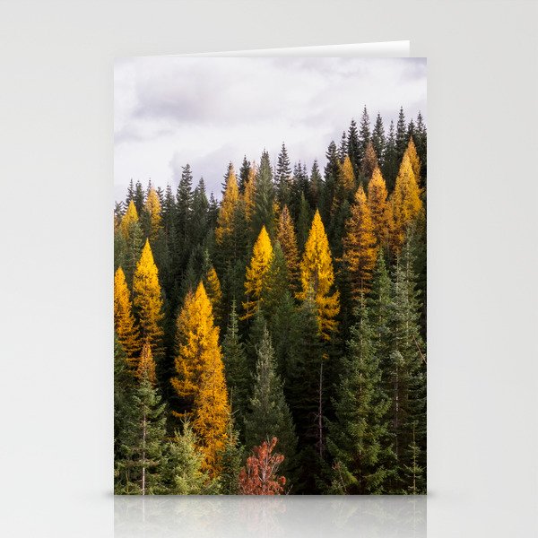 Mountain Tamarack in Autumn Stationery Cards