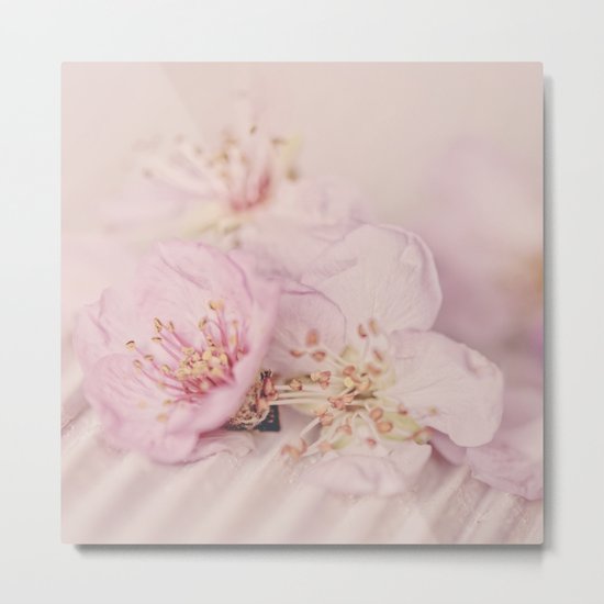 Romantic Soft Pink Peach Blossom Metal Print