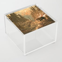 Bear in the Rocky Mountains Acrylic Box