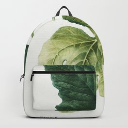 Figs (Ficus)  by Pierre-Joseph Redouté Backpack | Beautiful, Greenery, Tree, Garden, Fig, Gardening, Botanical, Decorative, Leaves, Ficus 