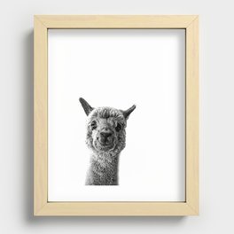 Alpaca Love Recessed Framed Print