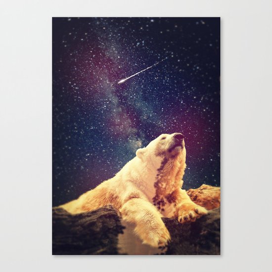 Stargazer Canvas Print