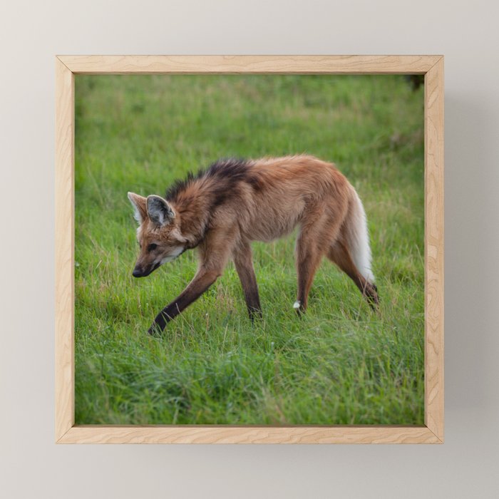 Framed Mini Art Print