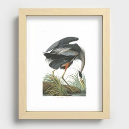 Great Blue Heron (Audubon) Recessed Framed Print