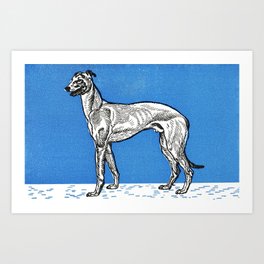 Greyhound(1912)_Moriz Jung illustrator (1885-1915) Art Print