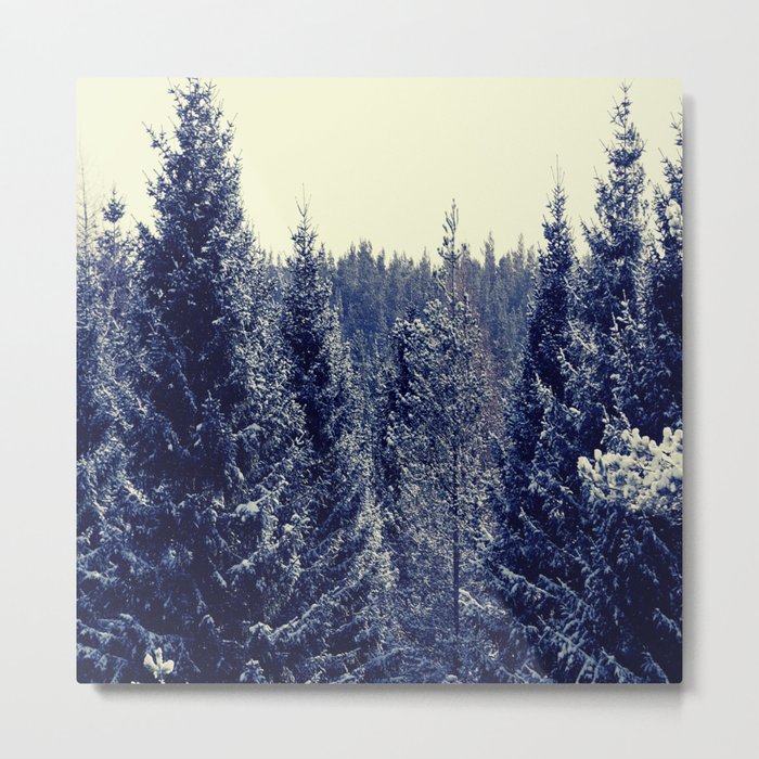 Snow Drama amongst the Pine Trees in the Scottish Highlands Metal Print