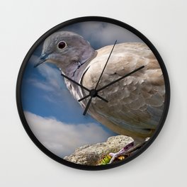 Collared Dove Wall Clock