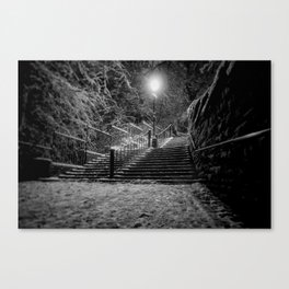 The Steps In The Snow Canvas Print