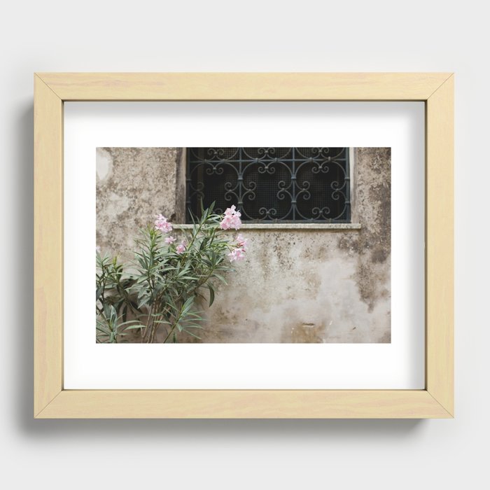 Pink Oleander in Sicily Recessed Framed Print