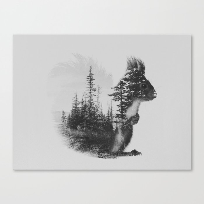Squirrel (black & white version) Canvas Print