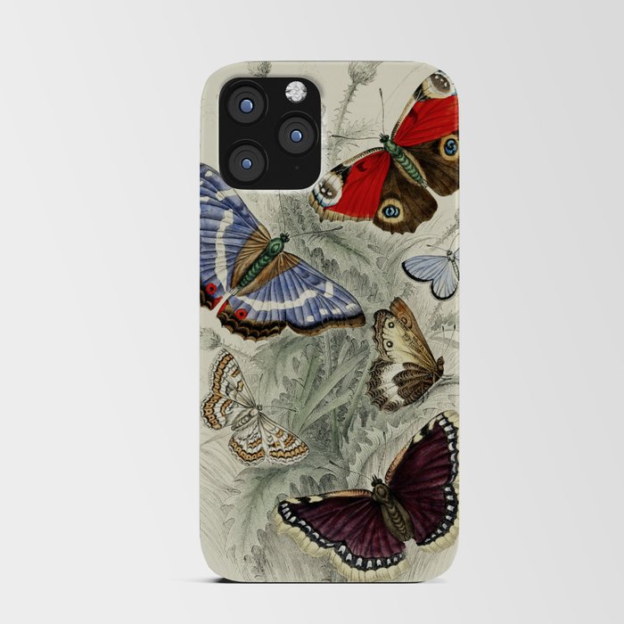 Vintage Butterfly Illustration by Oliver Goldsmith iPhone Card Case