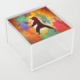 Tai Chi Acrylic Box