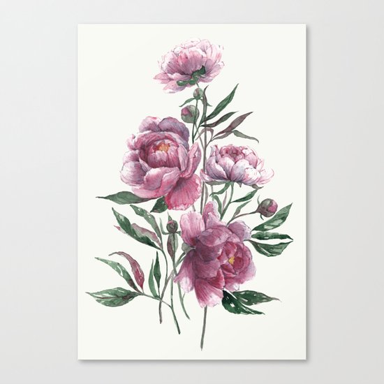 peony Canvas Print