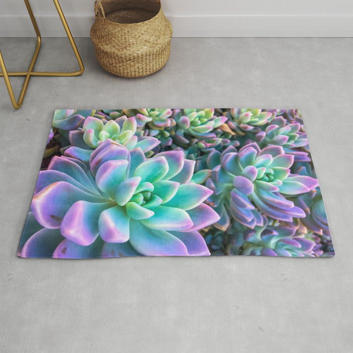 closeup green and pink succulent plant garden background Rug