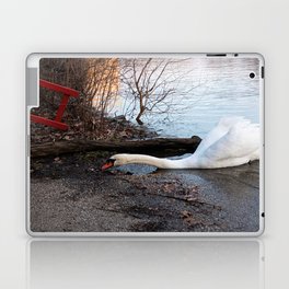 Not Your Usual Swan Photo Laptop Skin