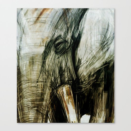 African Elephant Canvas Print