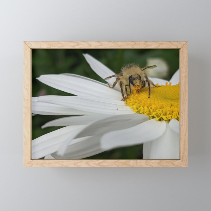 Busy As A Bee: Messy Eater Framed Mini Art Print