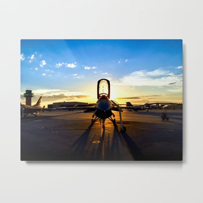 Viper at Sunset Metal Print