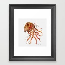 Compass Jellyfish Framed Art Print