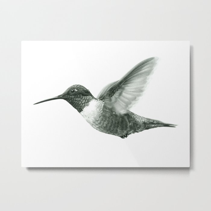 Ruby-Throated Hummingbird Drawing Metal Print