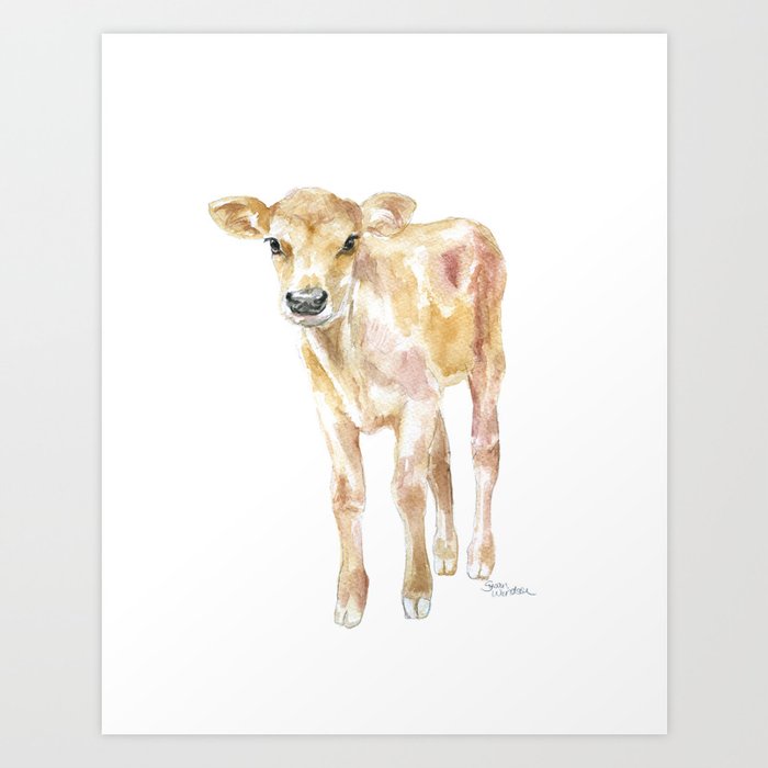 Jersey Calf Watercolor Cow Art Print By Susanwindsor Society6