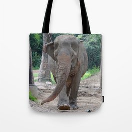 old lady elephant Tote Bag