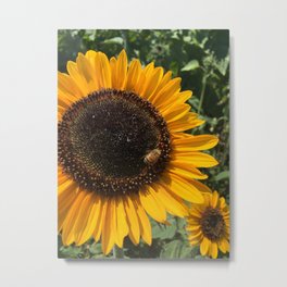 Sunflower and Honeybee Metal Print | Nature, Photo, Animal 