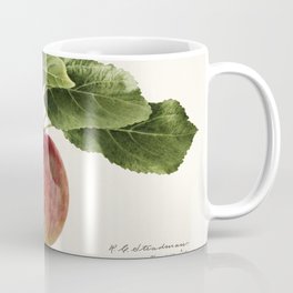 Apple (Malus Domestica) Mug