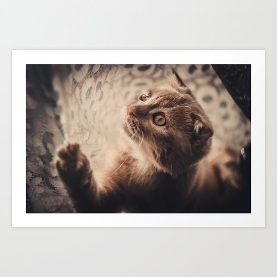 cat Art Print