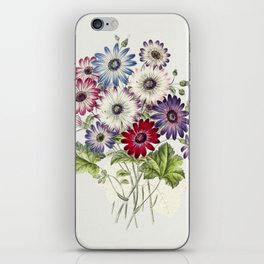 Colorful Chrysanthemums iPhone Skin