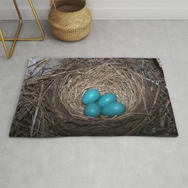 Robin eggs in nest Rug