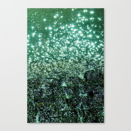 NATURAL SPARKLE Canvas Print