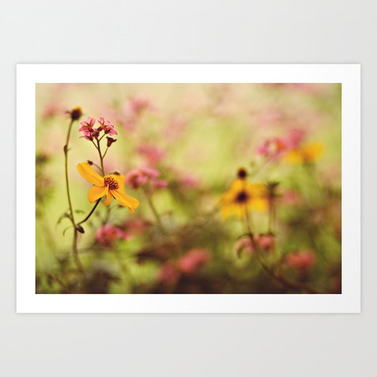 Lemon drop Flower box Art Print