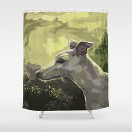 whippet in the sun Shower Curtain