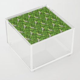 nymph birds with green leaves, seamless pattern Acrylic Box