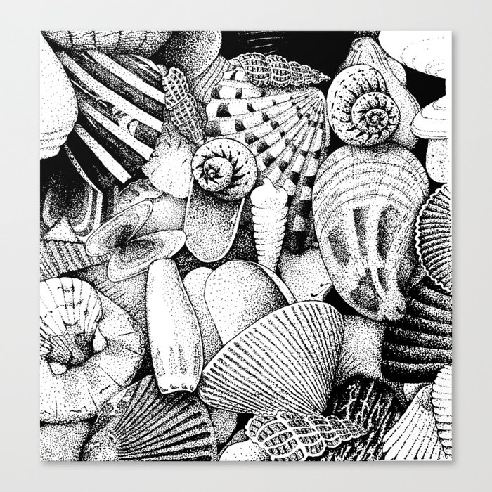 Stippled Sea Shell  Canvas Print