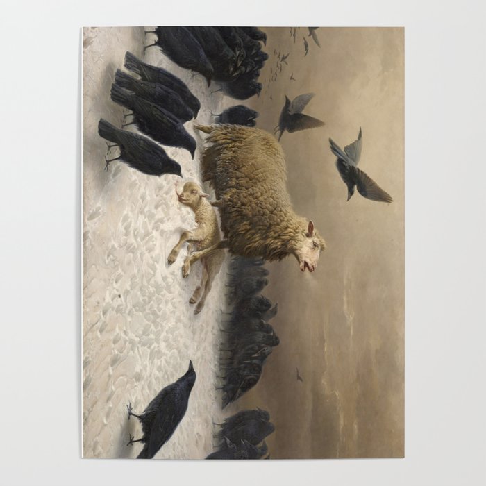 Anguish August Friedrich Albrecht Schenck Ravens And Sheep Poster By Vintage Wall Art Society6