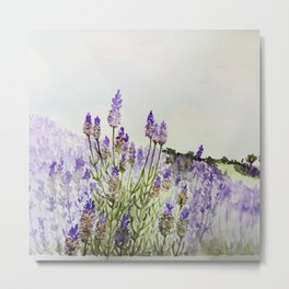 Lavender Farm Metal Print | Watercolor, Painting, Purple, Lavender 