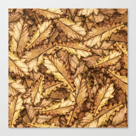 Autumn Leaves 01 Canvas Print