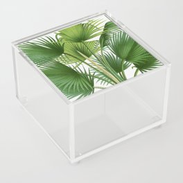 Vintage Palm Tree | Fan Palm | Thrinax barbadensis | Les Palmiers Histoire Iconographique (1878) | Acrylic Box