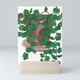 Hoya Curtisii Plant Watercolor Mini Art Print